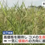 専門家が小泉農水大臣を痛烈批判「備蓄米が流通すると価格崩壊が起きて農家が生産しなくなり国民が困る