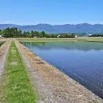 なあ、米って北海道でアメリカ式大規模企業経営やったらいいだけでは？