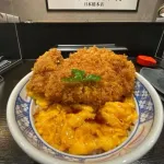 【画像あり】とじないカツ丼屋、じわじわ増える