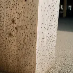 【悲報】大阪万博、虫が沸きまくってしまう