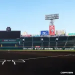 東大入学と甲子園でベンチ入りどっちがすごい？？