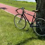 【悲報】自転車さん、罰金がキツすぎてほぼ使用不能へwwwww