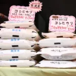 【悲報】農家「儲かってないです」JA「儲かってないです」卸売「・・・・・」