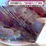 【悲報】アニキサス、福岡でも激烈猛威「死ぬかと思った」