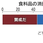 日経＆テレ東世論調査「消費税減税反対55%、赤字国債発行してでも減税は38%」ｗｗｗｗｗｗｗ