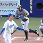 来日初スタメンの阪神・ヘルナンデス　低めの変化球を見逃せる　今後もスタメンで使ってもらいたい　評論家が指摘