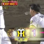 阪神vsDeNA、延長11回にサヨナラ押し出しで決着