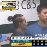 日ハム「孫正義」のダブルクローザー爆誕！ｗｗｗｗ