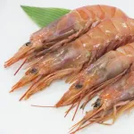 【怒報】ワイ「海老苦手なんだよね」馬鹿「え！？美味しいのに〜！