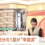 【悲報】マスコミさん、備蓄米を「小泉米」と呼び出してしまう