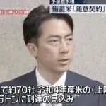 【悲報】小泉農水大臣「もう売る米がなくなりました」ｗｗｗｗｗｗｗ