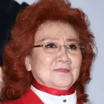 アンパンマンのおむすびまんの声優京田尚子(90)降板、後任は野沢雅子(88)