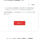 なんG民「リボ払いは危険、危ない！」ワイ「ほーん、計算したろ」→100万円の返済に123ヶ月