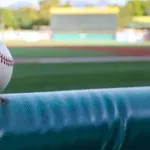 自分の高校が甲子園出場決まりました←これってうれしい物なの？