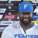 日ハムレイエス、激おこｗｗｗｗｗｗｗｗ