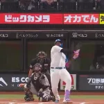 日ハムレイエス、2年連続2桁ホームランｷﾀ━━━━(ﾟ∀ﾟ)━━━━!!