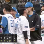 日本ハム、矢澤郡司の大逆転サヨナラ劇きたああああああああ