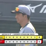 阪神 30勝20敗2分 178得点121失点