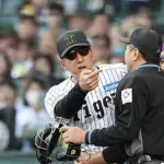 阪神、マツダで12年ぶりの3タテ！！！藤川ブチギレ以降の対戦成績→6勝1敗勝率.857