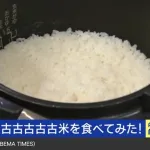【悲報】古古古古古古古古古米、発見されるｗｗｗｗｗｗｗｗｗｗｗｗｗｗｗｗｗｗｗｗｗ