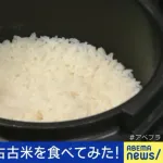 【悲報】古古古古古古古古古米、発見されるwwwwwwwwww