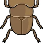 ミヤマクワガタってなんであんなにカッコイイの