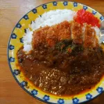 カレー（戦闘力2000）「合体だ！」トンカツ（1800）「おう！」ワイ「どうやって食べるの？」
