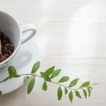 【朗報】お前ら「カフェイン断ち」してみろｗｗｗｗｗｗｗｗｗｗｗｗｗｗｗｗ