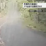 【悲報】奈良県天理市にツキノワグマ出没。天理市内で確認されるのは史上初のこと