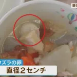 給食のうずらの卵を丸飲みして窒息死した男児の父親ら、市に6000万円の損害賠償を求めて提訴