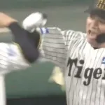 【朗報】坂本誠志郎、3ランが飛び出すwwwwwwwwwww（阪神8 - 2オリックス）