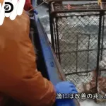 ベーリング海のカニ漁師「年に1ヶ月しか働きません。後は遊んでます。それで余裕で食っていけます」