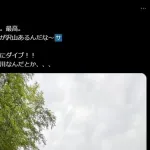 黒木芽依ちゃん、よりによってタレント転身した初年度にロッテが暗黒で可哀想…