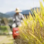 出荷先を商社に乗り換えたら100万円超の「違約金」を請求された…「JAとの契約はリスクになる」コメ農家の静かな怒り