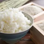 小泉進次郎に名指しされた前年比487%米卸売「利益率を1%から5%にした。5%ですよ。高いですか？」