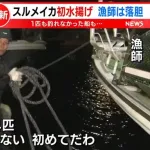 スルメイカ、今年も記録的な不漁…