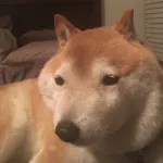 なんJ最強のイーヌで打線組んだwwwww