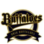 【試合実況】[2025/6/10] DeNAベイスターズvsオリックスバファローズ　18:00～