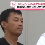 【悲報】元プロ野球選手(ソフトバンク)、不同意わいせつで逮捕ｗｗｗｗｗｗｗ