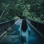 【朗報】「お化け怖い」←いや、居ないよｗｗｗｗｗｗｗｗｗｗｗｗｗｗｗｗ