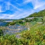 和歌山県←なに思い浮かべた？