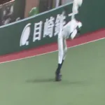 【悲報】 西武・レオ、頭がもげる！？