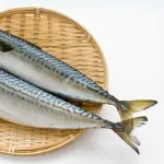 鯖（煮てよし焼いてよし、刺身もよし）←こいつの弱点