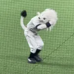 西武　球団マスコット・レオの頭部がもげるハプニング　球場騒然　３連続バック転の後、まさかの事態に