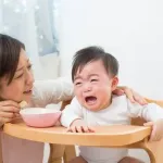 【朗報】淫夢語録だけで育児出来る事が判明