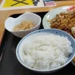 焼きそばと一緒に御飯食べられないって言ってるやつってなんなの?