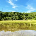 【悲報】農家「卸業者は溜め込んで値段釣り上げるのやめろ！農家が叩かれてるだろ！」←何でこれ言わないの・・・？