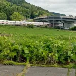【悲報】撮り鉄さん、また電車を止めてしまう