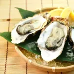 【悲報】生ガキ、どんなに高級で新鮮でもやっぱり生臭い