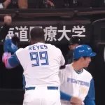 フランミル・レイエス（日）打率.279（5位）14本塁打（1位）40打点（1位）OPS.862（2位）